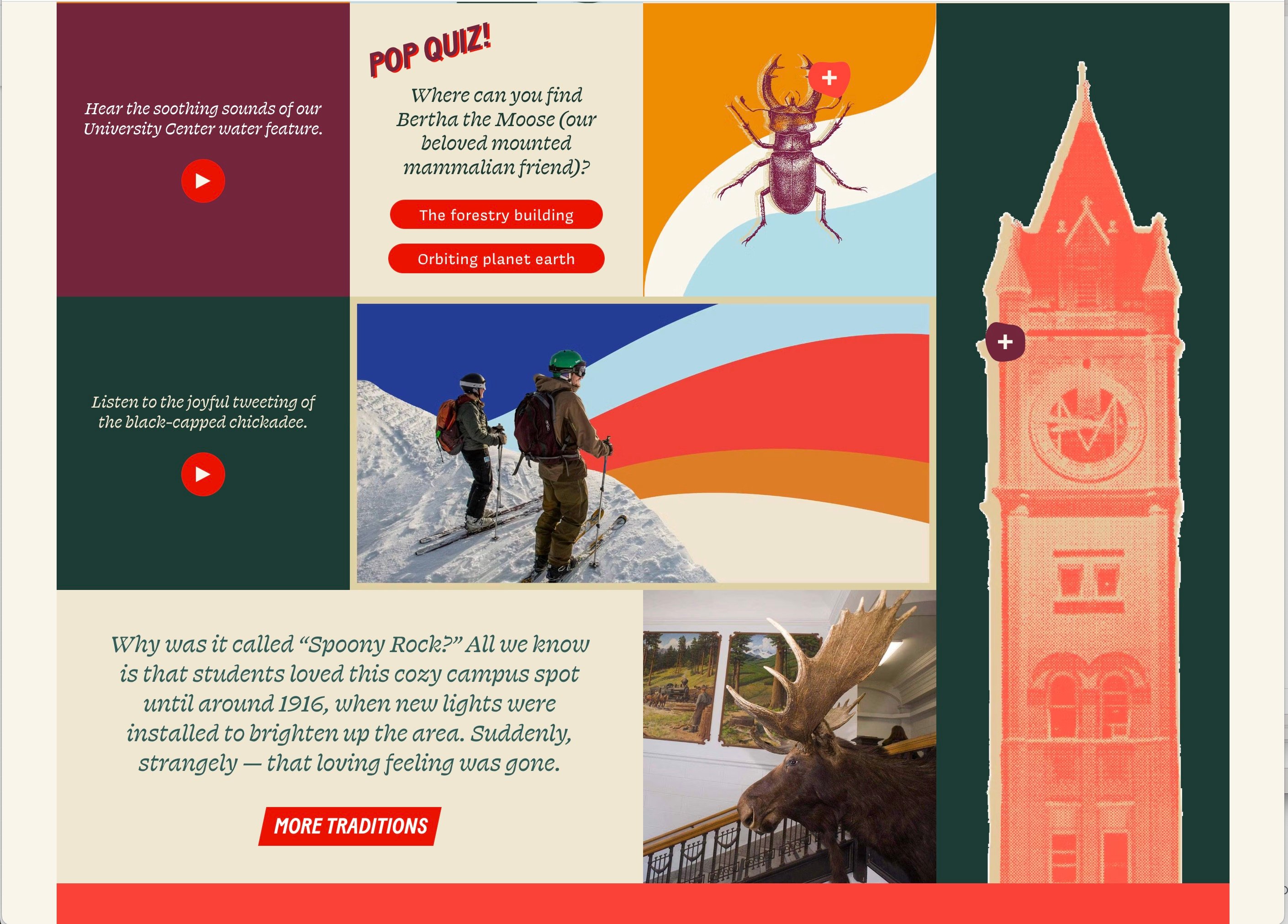 university of montana website 4